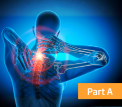 Musculoskeletal Physiotherapy Level 1 Cervical Spine - Part A